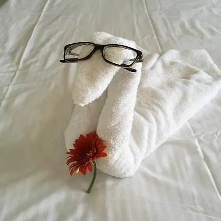 Appartement Oasis And