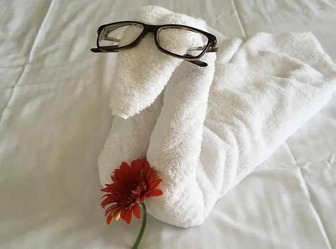 Διαμέρισμα Oasis And